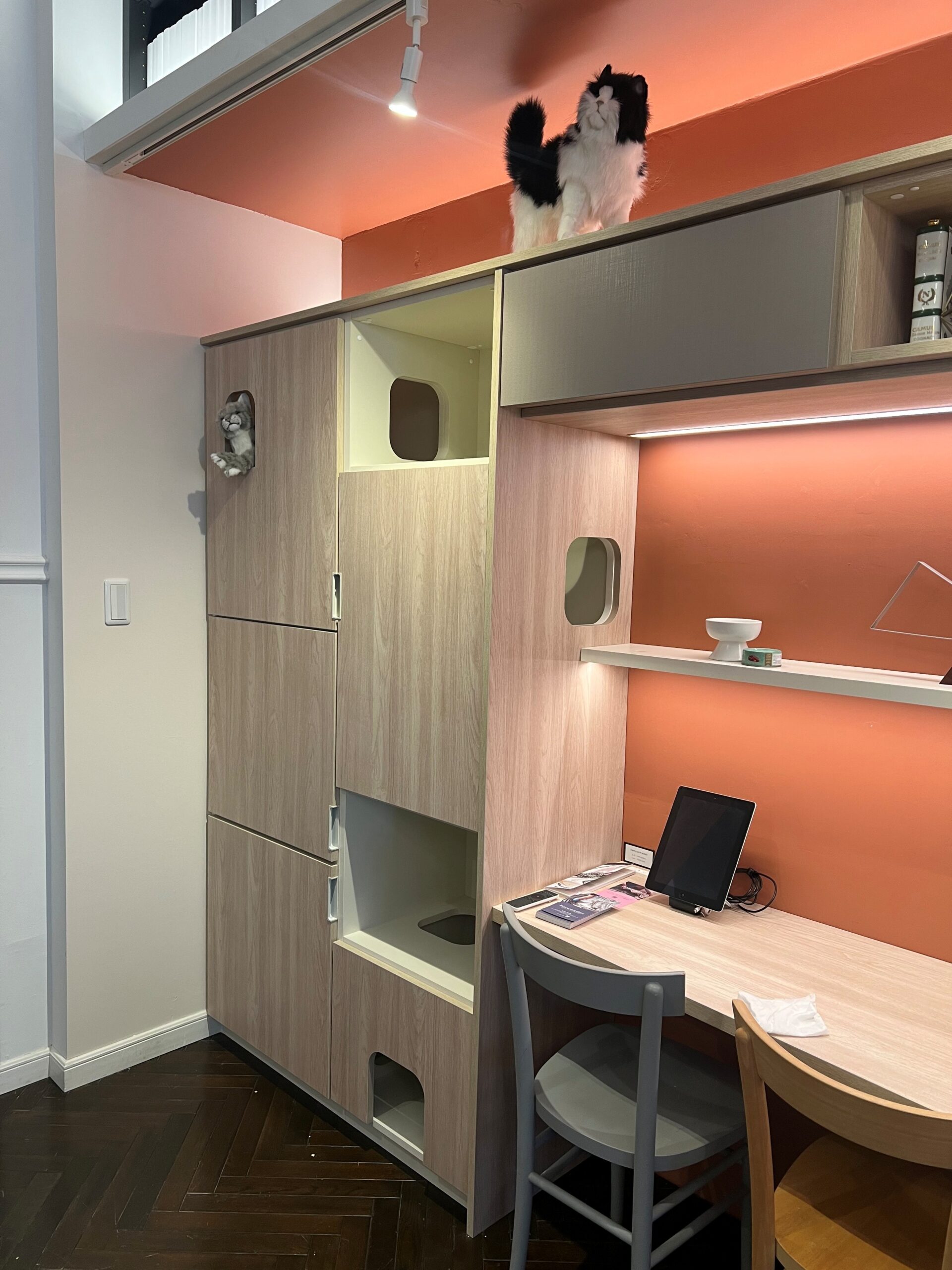 キャットタワー