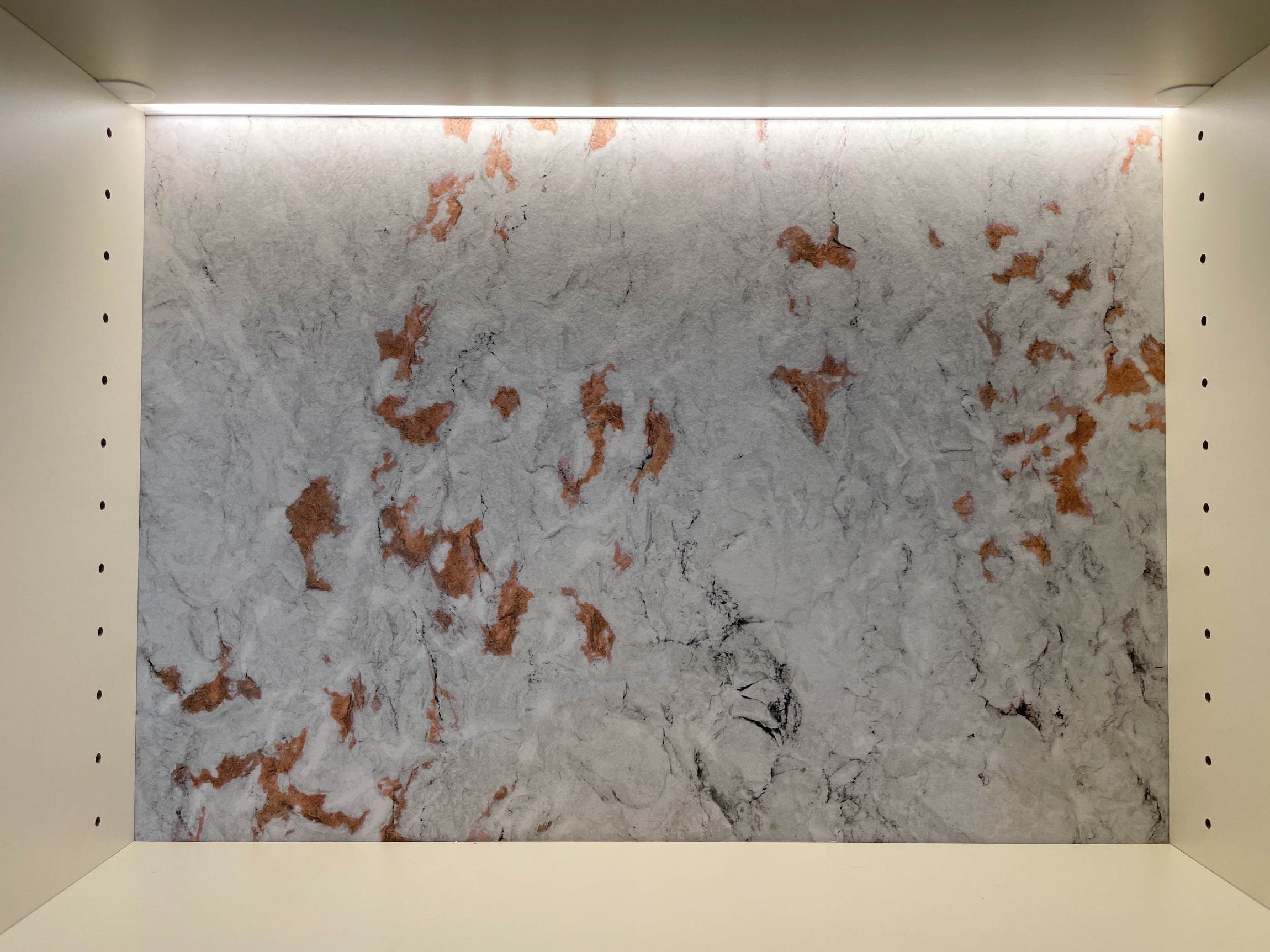 背板の色を＋WONDER に変更